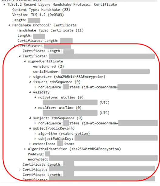 図 10   Certificate メッセージの例