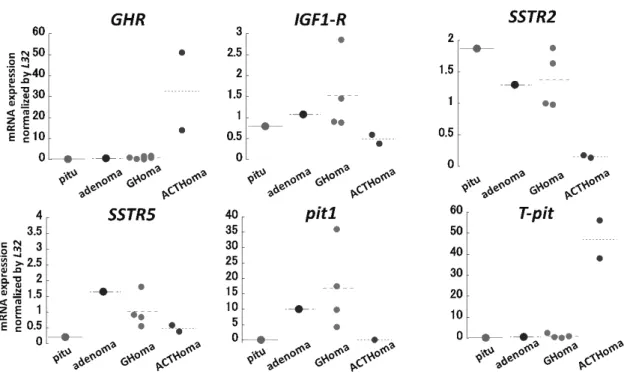 Figure 3.  Gene expression proﬁling shows growth-hormone-receptor gene (GHR) was not expressed in Pitu (pituicy- (pituicy-toma), but IGF-1 receptor gene (IGF1-R) was expressed equally with control groups (adenoma, GHoma).