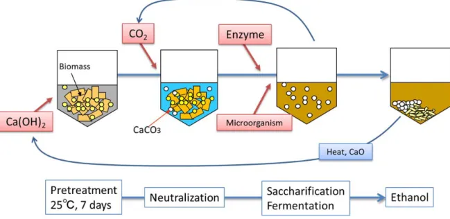 Fig. 0.6 に、 RT-CaCCO 法の概要を示す。 RT-CaCCO 法では、前処理を室温で 7