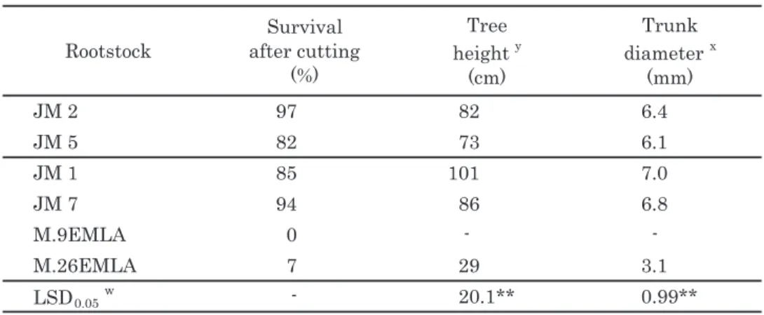 Table 1.　 Survival and growth of cuttings of ‘JM 2’ and ‘JM 5’ compared to ‘JM 1’，