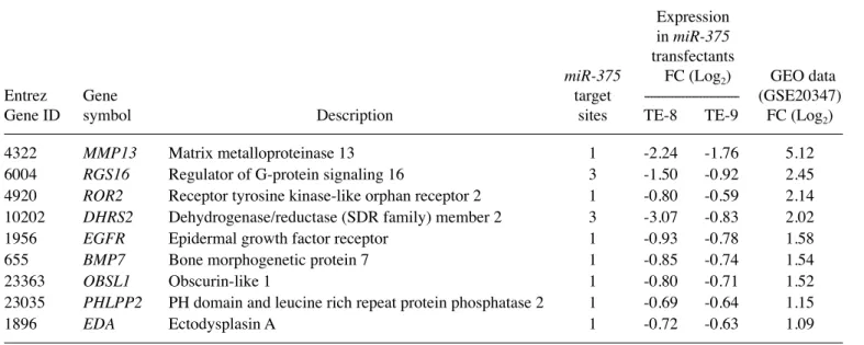 Figure 2. The strategy for analysis of miR-375 target genes. 