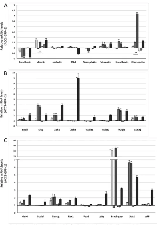 Figure 4. Effects of BRACHYURY and SOX2 transfection on gene expression related to  epithelial–mesenchymal  transition (EMT) and cancer stem cell (CSC) phenotype in  ACCS cells
