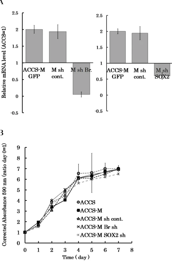 Figure 7: Effect of BRACHYURY and SOX2 knockdown on ACCS cell growth. 