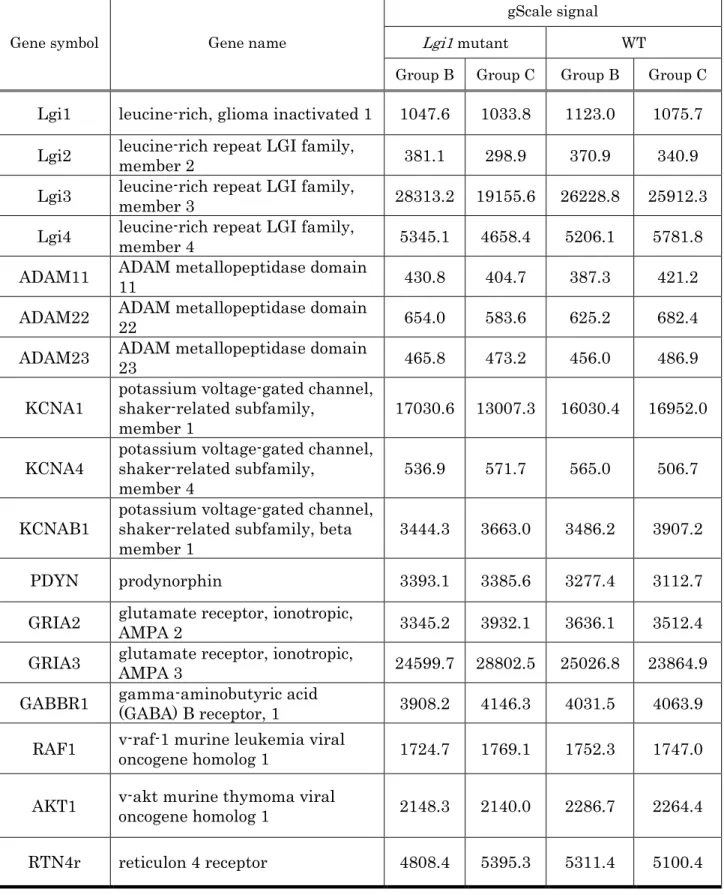 Table 1. Expression of Lgi1 and 16 related genes. No significant differences were seen in  mRNA expression between genotype or acoustic stimulus group