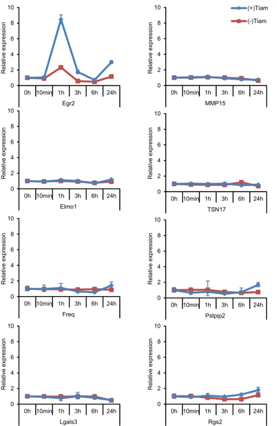 Figure S3. Effect of Rac1 activation on the expression of invasion-associated genes. C6 glioma cells  expressing plasma membrane-targeted FKBP12-rapamycin-binding domain, and FK506-binding  protein (FKBP) alone or FKBP fused with Tiam1 (blue) or without Ti