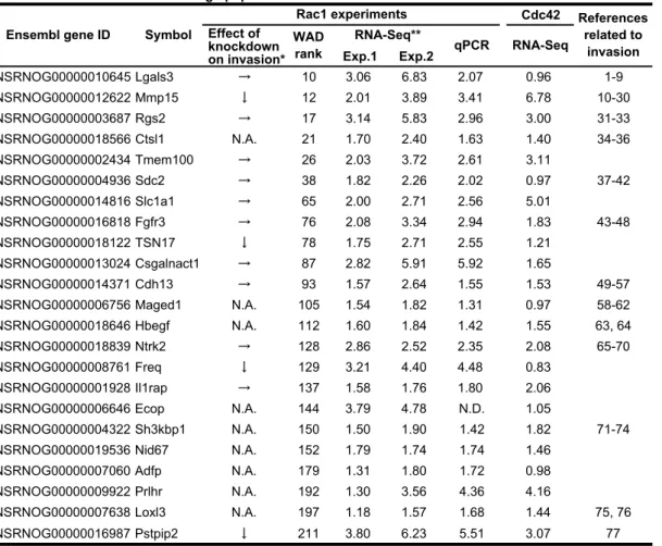 Table S1. Genes enriched in Rac1high population and related to "membrane". Cdc42 Exp.1 Exp.2 ENSRNOG00000010645 Lgals3 → 10 3.06 6.83 2.07 0.96 1-9 ENSRNOG00000012622 Mmp15 ↓ 12 2.01 3.89 3.41 6.78 10-30 ENSRNOG00000003687 Rgs2 → 17 3.14 5.83 2.96 