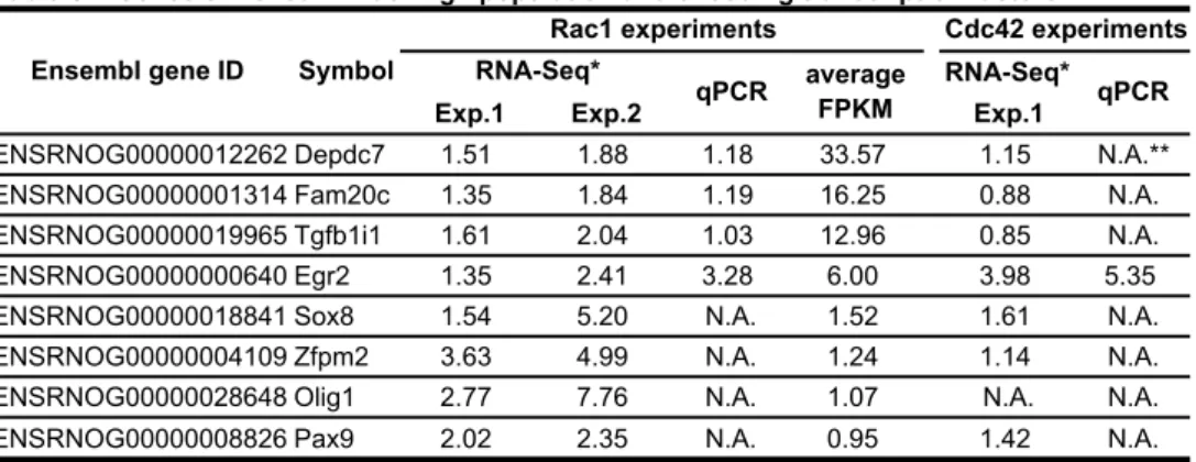 Table S2. Genes enriched in Rac1high population and encoding transcription factors. RNA-Seq* 1.pxE2.pxE1.pxE