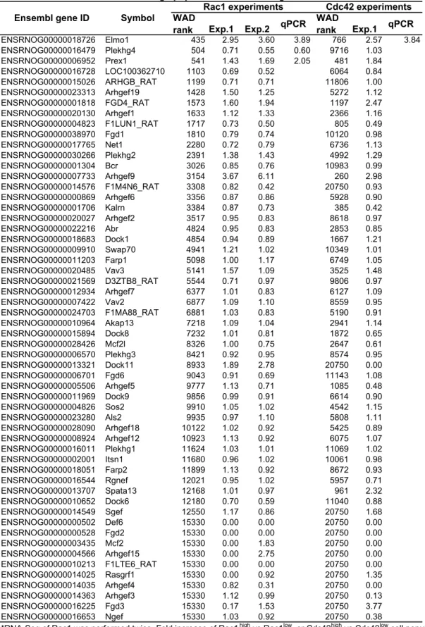 Table S3. Genes enriched in Rac1high population and encoding Rac1 activators WAD rank Exp.1 Exp.2 qPCR WAD