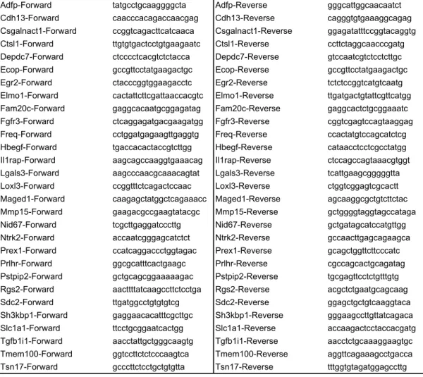Table S4. Primer sequences used for qPCR.