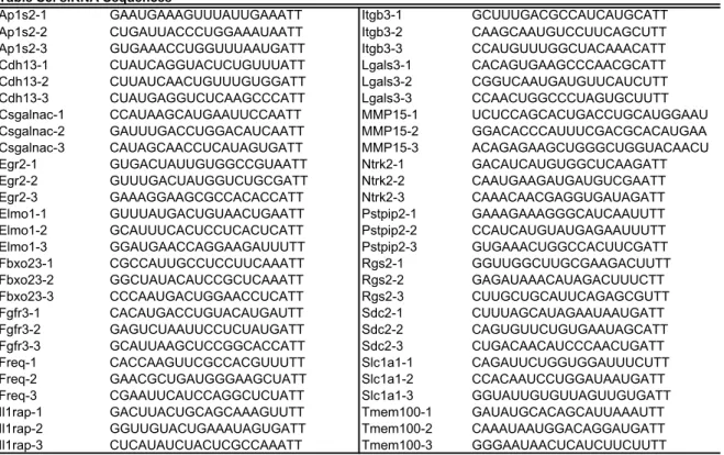Table S5. siRNA Sequences