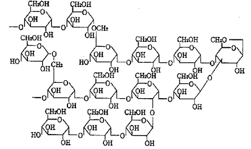 Fig. 2  Estimated structural formula of Fibersol-2  26) .