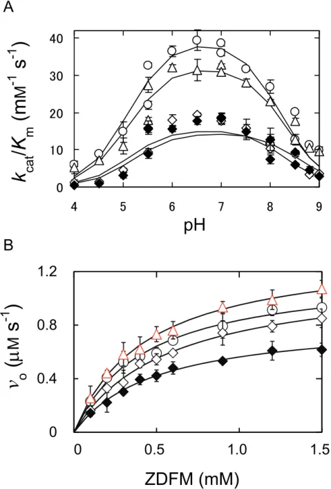 Fig. 4. Characterization of TLN variants. (A) Effect of pH on the initial reaction rate  (v o )  in  the  TLN-catalyzed  hydrolysis  of  FAGLA