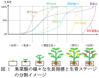 図 1  果菜類の様々な生長指標と生育ステージ  の分割イメージ 