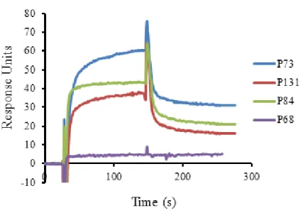 Figure  2.4.  Determination  of  the  binding  affinity  of  the  PPs  to  Aβ42  by  surface  plasmon  resonance  (SPR)