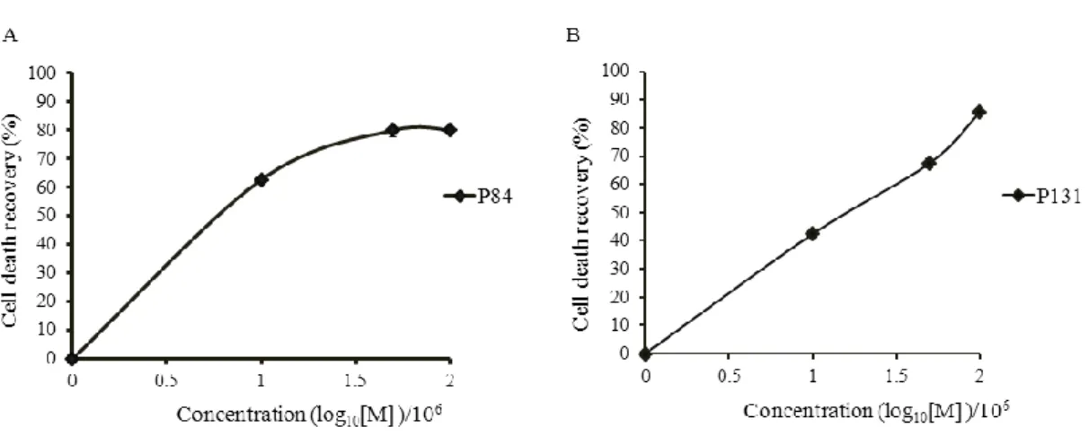 Figure  2.9.  Tentative  EC50  values  of  P84  and  P131.  The  data  used  in  this  figure were extracted from the Figure 2.8A