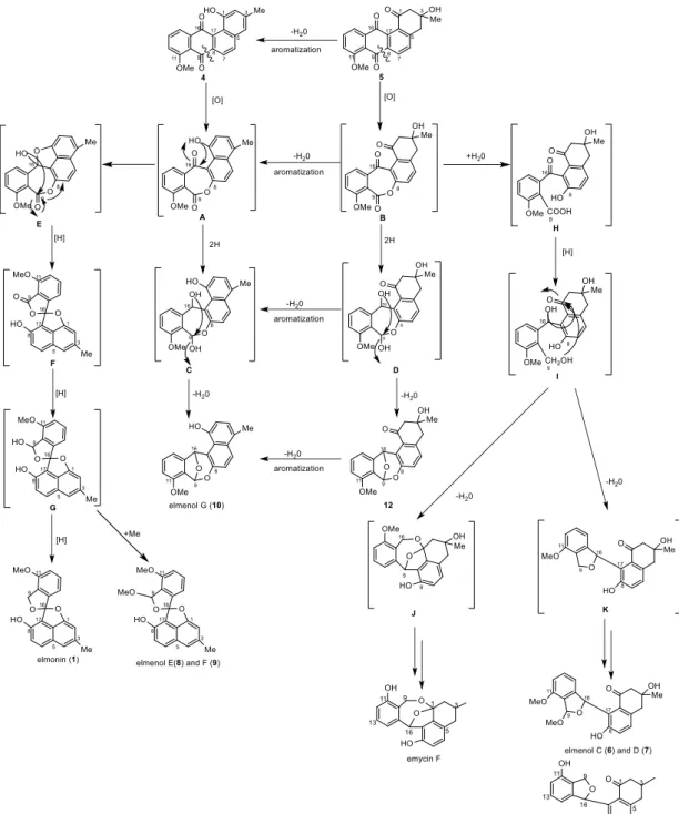 Figure 2-19. Hypothetcal biosynthesis cascade A for the generation of compound 1, 6-10, 12 from 4 and 5 