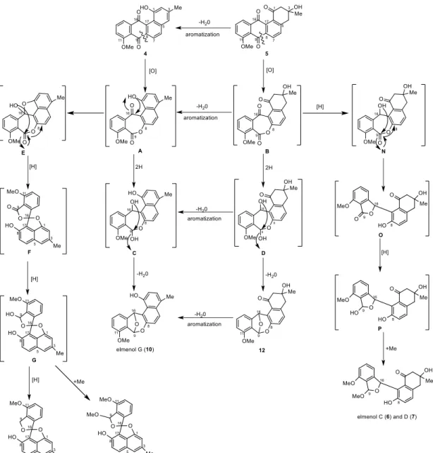 Figure 2-22. Hypothetical biosynthesis cascade B for the generation of compound 1, 6-10, 12 from 4 and 5 