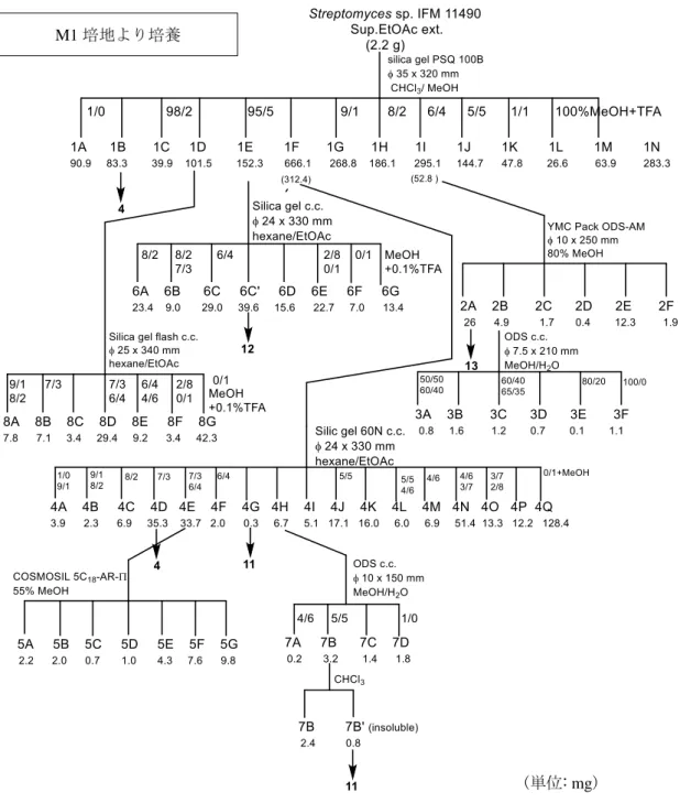 Figure 1-6. Isolation scheme of compounds from Streptomyces sp. IFM 11490 cultured in M1medium