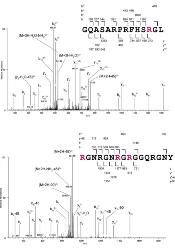 Figure  8.  MS/MS  spectra  of  identified  peptides  containing  asymmetric  dimethylarginines