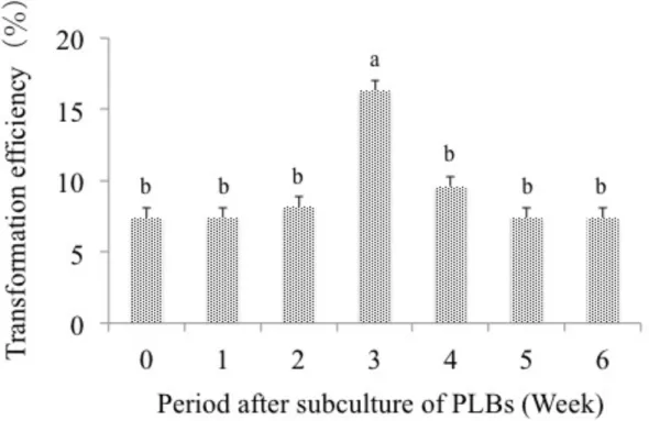 Figure 3-2. Effect of the age of PLBs on transformation efficiency of Dendrobium   Formidible ‘Ugusu’
