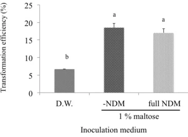 Figure 3-3. Effect of inoculation medium on transformation of Dendrobium Formidible 