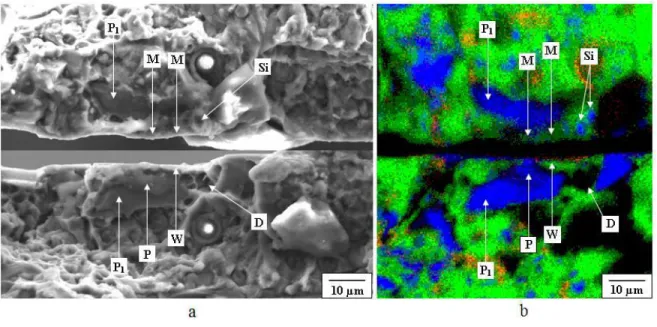 Fig.  3.6  Matching  fracture  surface  of  microcrack  initiation  site  at  the  cluster  of  SiC  particles (a) SEM micrograph (b) EDS mapping analysis: hybrid MMC, 0.7 σ c  = 270 MPa  