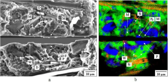Fig. 3.8 Matching fracture surface of secondary microcrack initiation and coalescence site  (a) SEM micrograph (b) EDS mapping analysis: hybrid MMC, 0.7 σ c  = 270 MPa   