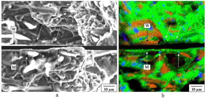 Fig.  3.11  Matching  fracture  surface  of  microcrack  initiation  site  (a)  SEM  micrograph  (b)  EDS mapping analysis: MMC with Al 2 O 3  whisker, 0.7 σ c  = 250 MPa