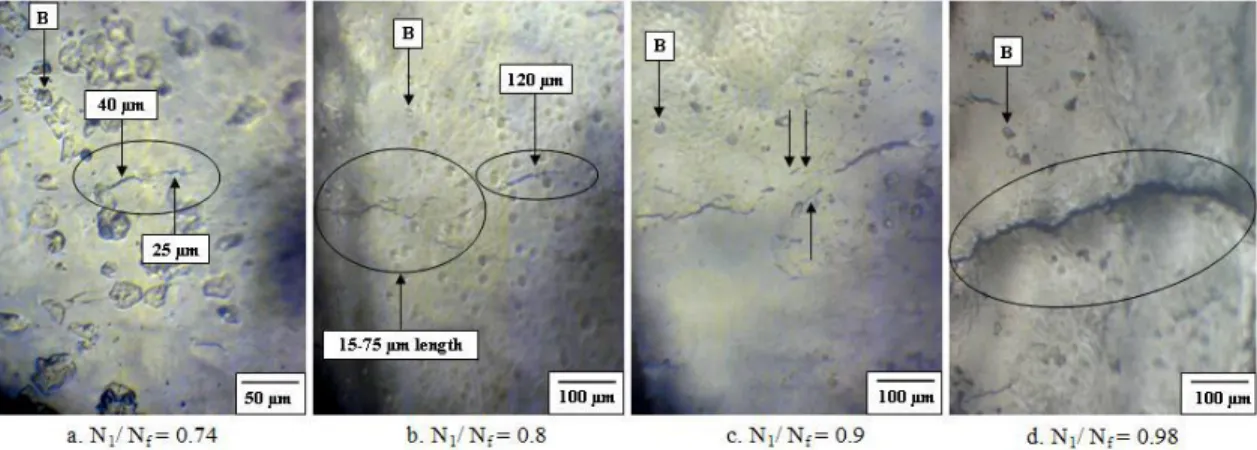 Fig. 3.13 Crack initiation and propagation at various stages of fatigue life of Al alloy : 0.7σ c