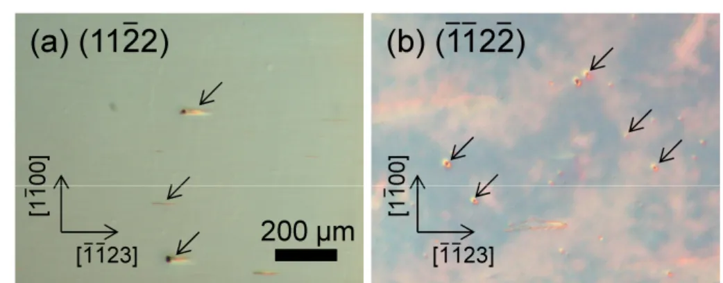 図 2.6 にアンドープ GaN 表面の AFM 像の V/III 比依存性を示す . 以下で述べるように , (11¯ 22) と (¯ 1¯ 12¯ 2) では顕著な違いが見られた 