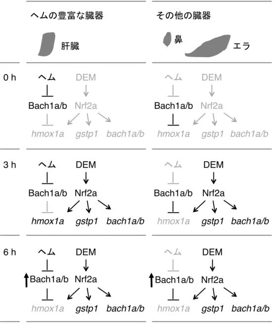 Fig. 8 Fuse et al.!