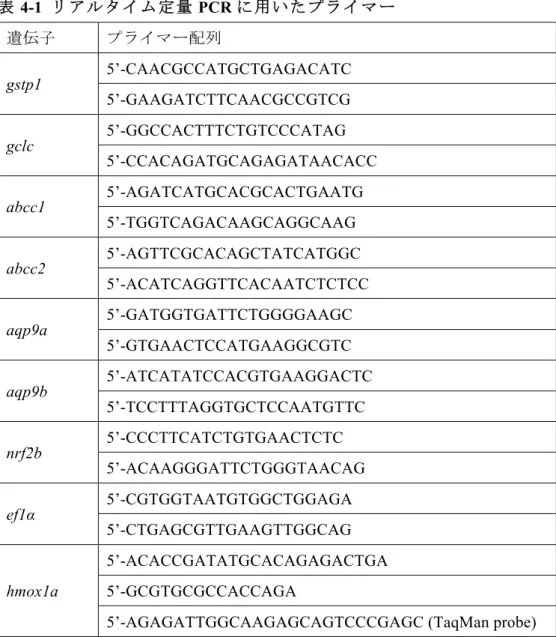 表 4-1  リ ア ル タ イ ム 定 量 PCR に 用 い た プ ラ イ マ ー 遺伝子 プライマー配列 gstp1  5’-CAACGCCATGCTGAGACATC  5’-GAAGATCTTCAACGCCGTCG  gclc  5’-GGCCACTTTCTGTCCCATAG  5’-CCACAGATGCAGAGATAACACC  abcc1  5’-AGATCATGCACGCACTGAATG  5’-TGGTCAGACAAGCAGGCAAG  abcc2  5’-AGTTCGCACAGCTATC