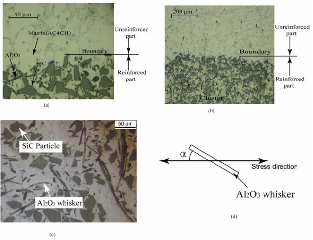 Fig. 2.3 Optical micrograph of the composite on the tensile side face,  representing the SiC particle and Al 2 O 3  whisker distribution and Al 2 O 3  whisker 