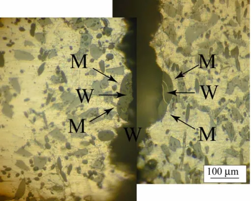 Fig. 3.8 Matching surface view of fatigue fractured specimen under cyclic loading,  maximum stress σ max = 156  MPa,  N f = 716 