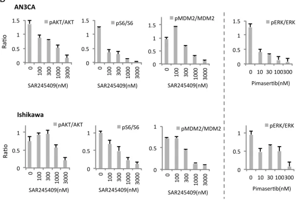 図 5   SAR245409 による PI3K/mTOR 経路の抑制と pimasertib による MAPK 経路 の抑制 