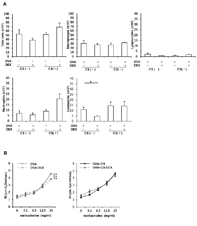 Figure 4.  アレルギー性気道炎症モデルマウスにおけるタバコ煙曝露によるステロイド抵抗