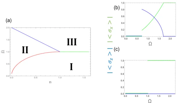 図 3.1: (a)SLM を持つスピン 1 / 2 の Bose 系における基底状態の相図．赤線は相 I-II の相 転移を，青線は相 II-III 間の相転移を，緑線は相 I-III の相転移をそれぞれ表している．な お，各値については E 0 = k 2 20 ， n c = 2γgk20 を用いて規格化している．また， (b)n < n c および (c)n > n c においてはそれぞれ | ⟨σ x ⟩ | ， | ⟨σ z ⟩ | の値を求めた．緑の実線が | ⟨σ x ⟩ | ，