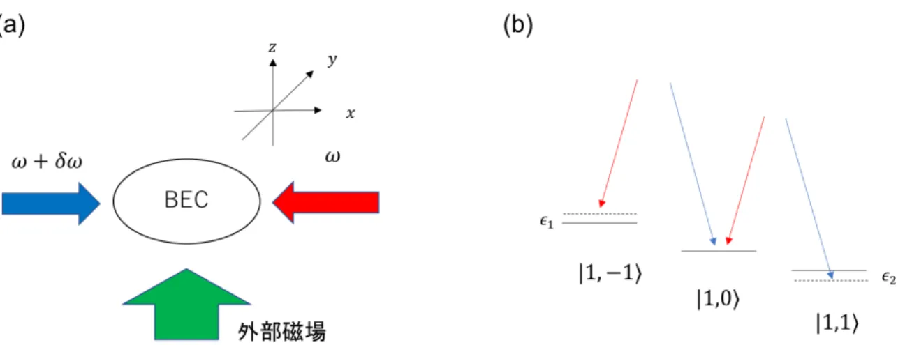 図 2.1: (a) 人工ゲージ場を生成するために NIST が行なった実験の概略図． BEC の気体に 対してラマンレーザーを x 軸方向に，外部磁場を z 軸方向にかけている． (b) 原子の超微細 構造と状態間のラマン結合の概略図．ラマンレーザーを介して状態 | 1 , − 1 ⟩ と | 1 , 0 ⟩ および | 1 , 0 ⟩ と | 1 , 1 ⟩ が結合している． 各状態はラマンレーザーによって励起する際に k 0 の運動量を持った光子を受け取り．脱励 起の際に逆方向に − k 0 の運動量