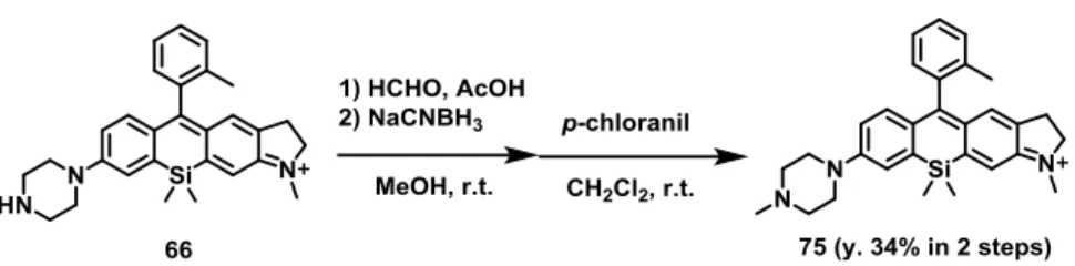 Figure  3-1-3.  (a)  Proposed  pH-dependent  balanced  equation  of  SiR  (75).  (b)  Absorption  and  (c)  emission spectra of 1.6  μM SiR (75)  at various pH values in 100 mM NaPi buffer containing  5% 