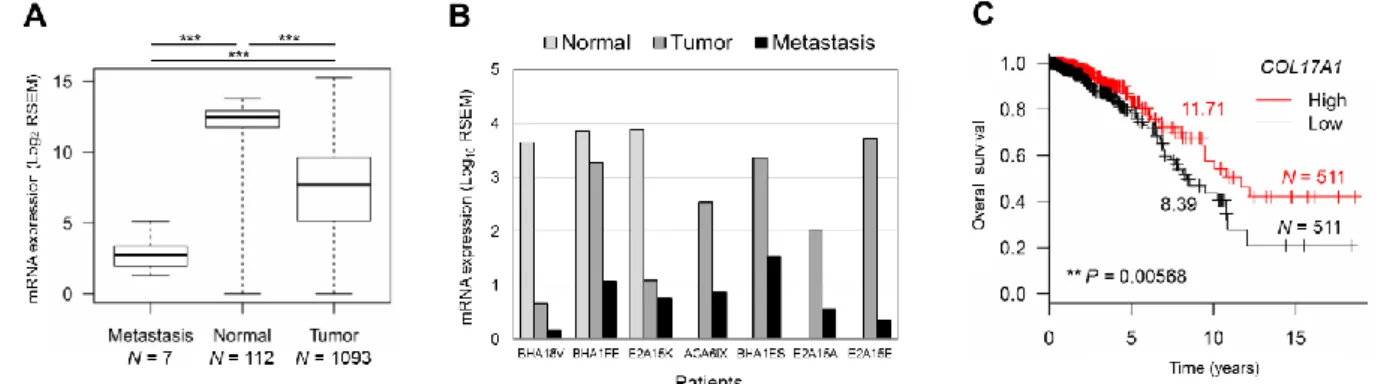 Figure 6. A and B. The mRNA expression of COL17A1 in metastatic, normal, and tumor tissues from all patients (A) and from  the seven patients with metastasis (B)