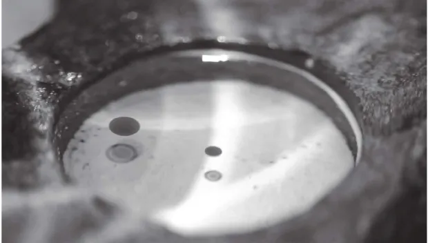 Figure 2. Image of the non-terrestrial, kinetic and autonomous agents in liquid formamide.