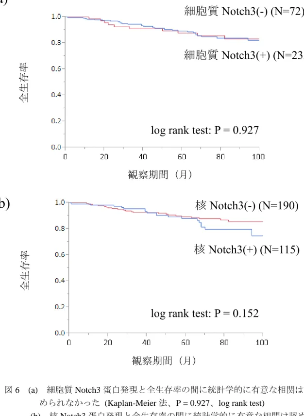 図 6  Notch3 蛋白発現と全生存率との相関：Kaplan-Meier 法 