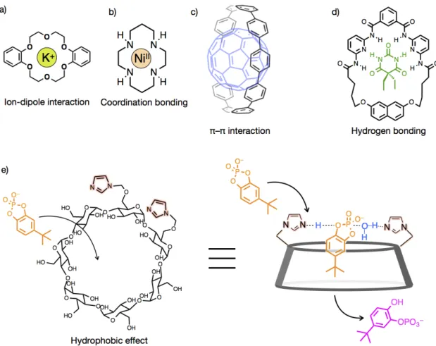 Figure  1–4. Representative examples for host-guest complexes of macrocycles and guest molecules