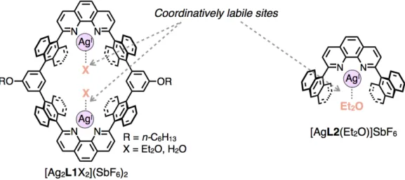 Figure  1–11.  Molecular  structures  of  a  dinuclear  Ag(I)-macrocycle  and  a  mono-nuclear  Ag(I)-half-macrocycle