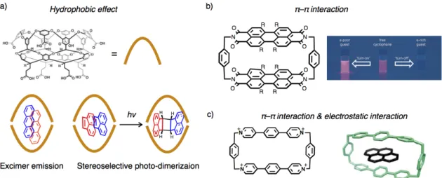 Figure  2–1.  Representative  examples  of  the  inclusion  complexes  of  aromatic  guest  molecules