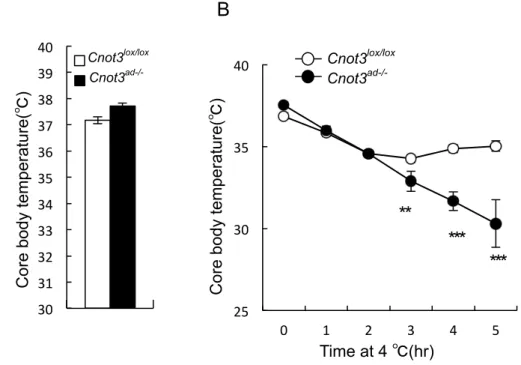Figure 11. Cnot3 deficiency impaired acute cold-induced thermogenesis.(A) Core body  temperature of Cnot3 ad-/-  mice and their wild-type littermates