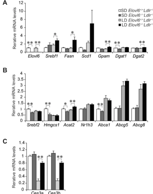 Figure 6.  Quantitative real-time PCR (qPCR) analysis of genes involved in steatohepatitis