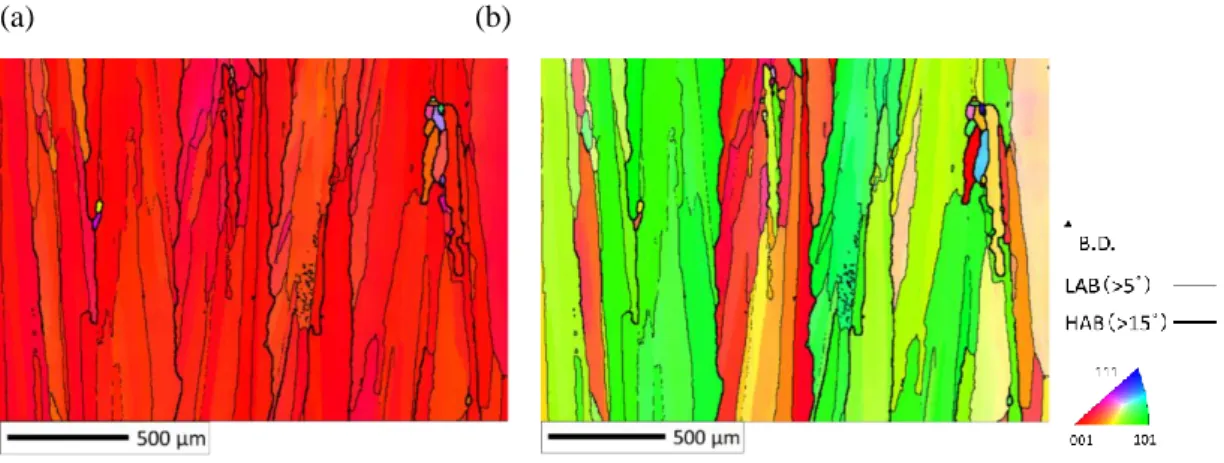 Fig. 3.10 EBSD-IPF maps of STA982 samples on the horizontal cross-section. (a)IPF maps  oriented to Z axis, (b) IPF maps oriented to X axis