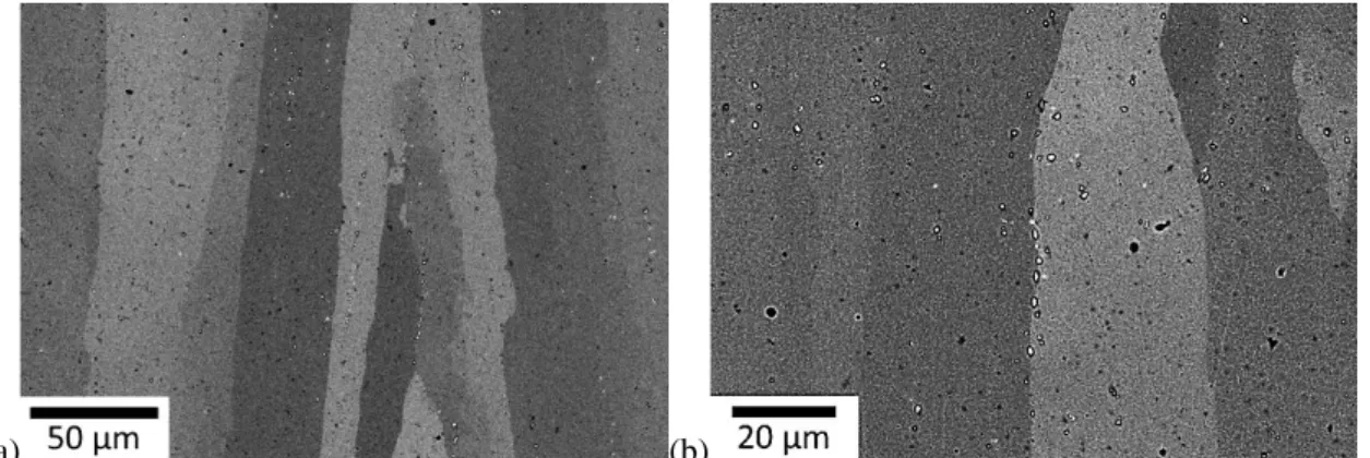 Fig. 3.17 BSE image of SEM microstructures of STA1000 sample on the vertical cross-section