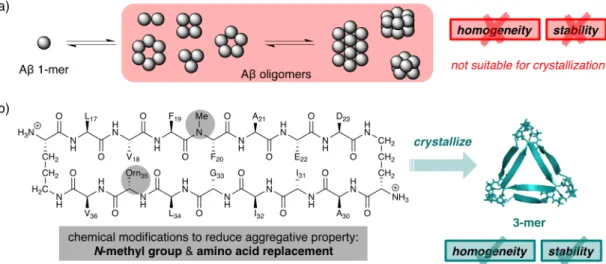 Figure  1.  (a) Aβ オリゴマーの結晶化は，その凝集性ゆえに困難である。 (b) 化学修飾により凝集性を
